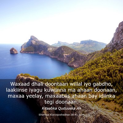 Picture 03 - Sharciga Kunoqoshadiisa 28:41 SOM - Waxaad dhali doontaan wiilal iyo gabdho, - Bible Verse Picture
