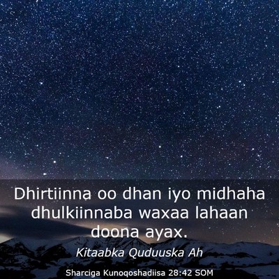 Picture 03 - Sharciga Kunoqoshadiisa 28:42 SOM - Dhirtiinna oo dhan iyo midhaha dhulkiinnaba waxaa - Bible Verse Picture