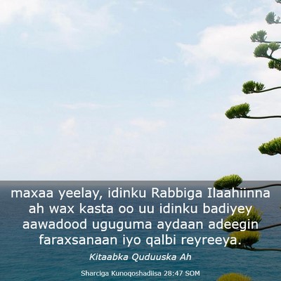Picture 03 - Sharciga Kunoqoshadiisa 28:47 SOM - maxaa yeelay, idinku Rabbiga Ilaahiinna ah wax - Bible Verse Picture