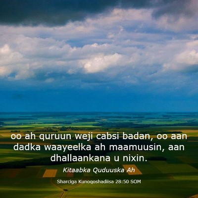 Picture 03 - Sharciga Kunoqoshadiisa 28:50 SOM - oo ah quruun weji cabsi badan, oo aan dadka - Bible Verse Picture