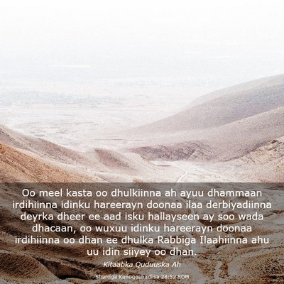 Picture 03 - Sharciga Kunoqoshadiisa 28:52 SOM - Oo meel kasta oo dhulkiinna ah ayuu dhammaan - Bible Verse Picture