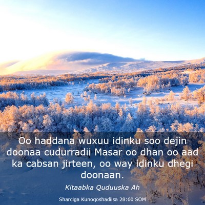 Picture 03 - Sharciga Kunoqoshadiisa 28:60 SOM - Oo haddana wuxuu idinku soo dejin doonaa - Bible Verse Picture