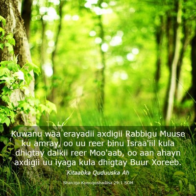 Picture 03 - Sharciga Kunoqoshadiisa 29:1 SOM - Kuwanu waa erayadii axdigii Rabbigu Muuse ku - Bible Verse Picture