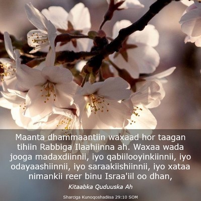 Picture 03 - Sharciga Kunoqoshadiisa 29:10 SOM - Maanta dhammaantiin waxaad hor taagan tihiin - Bible Verse Picture