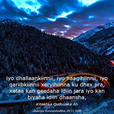 Picture 03 - Sharciga Kunoqoshadiisa 29:11 SOM - iyo dhallaankiinnii, iyo naagihiinnii, iyo - Bible Verse Picture