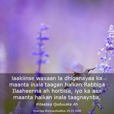 Picture 03 - Sharciga Kunoqoshadiisa 29:15 SOM - laakiinse waxaan la dhiganayaa ka maanta inala - Bible Verse Picture