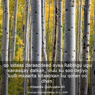 Picture 03 - Sharciga Kunoqoshadiisa 29:27 SOM - oo sidaas daraaddeed ayaa Rabbigu ugu xanaaqay - Bible Verse Picture