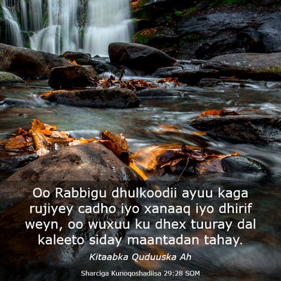 Picture 03 - Sharciga Kunoqoshadiisa 29:28 SOM - Oo Rabbigu dhulkoodii ayuu kaga rujiyey cadho iyo - Bible Verse Picture