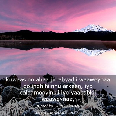Picture 03 - Sharciga Kunoqoshadiisa 29:3 SOM - kuwaas oo ahaa jirrabyadii waaweynaa oo - Bible Verse Picture