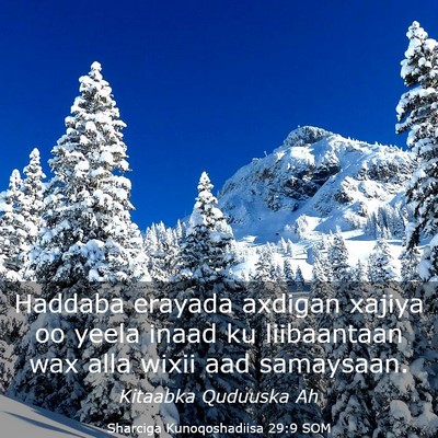 Picture 03 - Sharciga Kunoqoshadiisa 29:9 SOM - Haddaba erayada axdigan xajiya oo yeela inaad ku - Bible Verse Picture