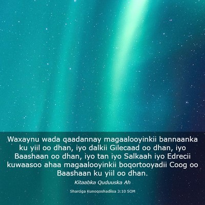 Picture 03 - Sharciga Kunoqoshadiisa 3:10 SOM - Waxaynu wada qaadannay magaalooyinkii bannaanka - Bible Verse Picture
