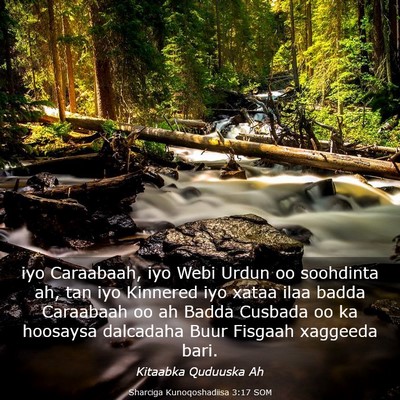 Picture 03 - Sharciga Kunoqoshadiisa 3:17 SOM - iyo Caraabaah, iyo Webi Urdun oo soohdinta ah, - Bible Verse Picture