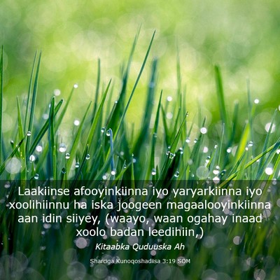 Picture 03 - Sharciga Kunoqoshadiisa 3:19 SOM - Laakiinse afooyinkiinna iyo yaryarkiinna iyo - Bible Verse Picture