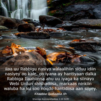 Picture 03 - Sharciga Kunoqoshadiisa 3:20 SOM - ilaa uu Rabbigu nasiyo walaalihiin siduu idiin - Bible Verse Picture