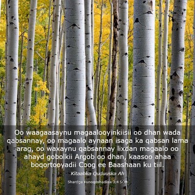 Picture 03 - Sharciga Kunoqoshadiisa 3:4 SOM - Oo waagaasaynu magaalooyinkiisii oo dhan wada - Bible Verse Picture