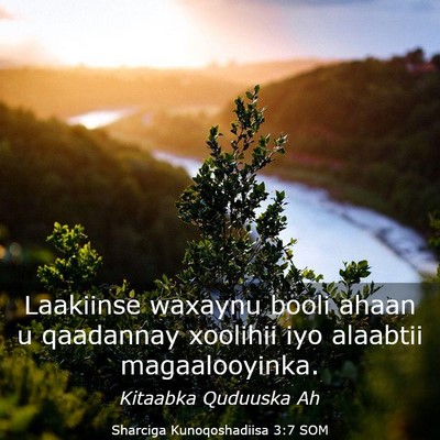 Picture 03 - Sharciga Kunoqoshadiisa 3:7 SOM - Laakiinse waxaynu booli ahaan u qaadannay - Bible Verse Picture