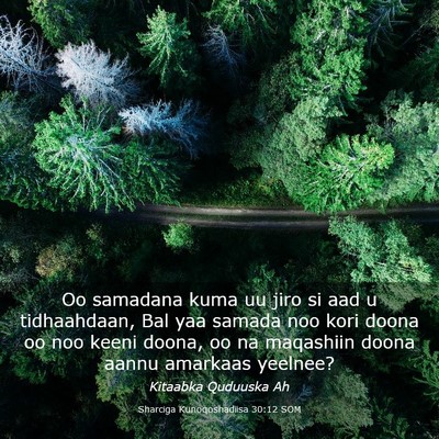 Picture 03 - Sharciga Kunoqoshadiisa 30:12 SOM - Oo samadana kuma uu jiro si aad u tidhaahdaan, - Bible Verse Picture