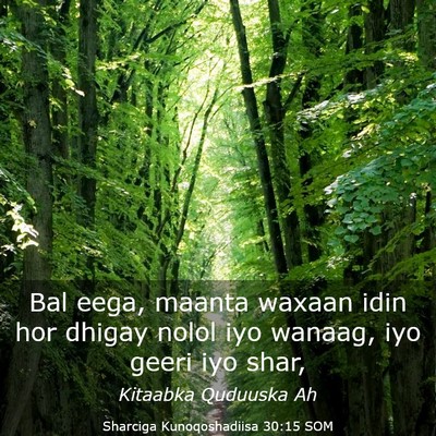 Picture 03 - Sharciga Kunoqoshadiisa 30:15 SOM - Bal eega, maanta waxaan idin hor dhigay nolol iyo - Bible Verse Picture