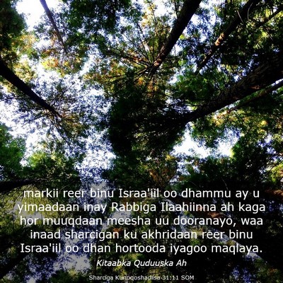 Picture 03 - Sharciga Kunoqoshadiisa 31:11 SOM - markii reer binu Israa'iil oo dhammu ay u - Bible Verse Picture
