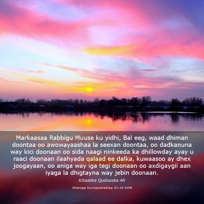 Picture 03 - Sharciga Kunoqoshadiisa 31:16 SOM - Markaasaa Rabbigu Muuse ku yidhi, Bal eeg, waad - Bible Verse Picture