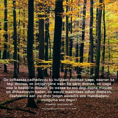 Picture 03 - Sharciga Kunoqoshadiisa 31:17 SOM - Oo kolkaasaa cadhadaydu ku kululaan doontaa - Bible Verse Picture