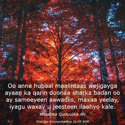 Picture 03 - Sharciga Kunoqoshadiisa 31:18 SOM - Oo anna hubaal maalintaas wejigayga ayaan ka - Bible Verse Picture