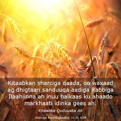 Picture 03 - Sharciga Kunoqoshadiisa 31:26 SOM - Kitaabkan sharciga qaada, oo waxaad ag dhigtaan - Bible Verse Picture