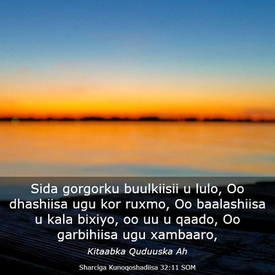 Picture 03 - Sharciga Kunoqoshadiisa 32:11 SOM - Sida gorgorku buulkiisii u lulo, Oo dhashiisa ugu - Bible Verse Picture