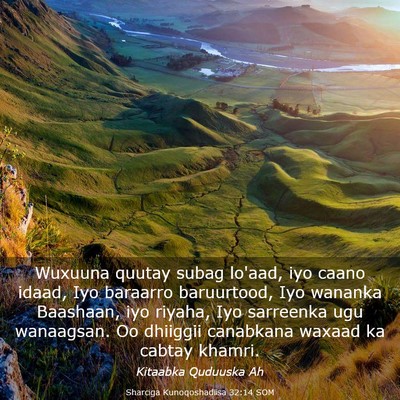 Picture 03 - Sharciga Kunoqoshadiisa 32:14 SOM - Wuxuuna quutay subag lo'aad, iyo caano idaad, Iyo - Bible Verse Picture