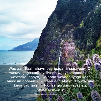 Picture 03 - Sharciga Kunoqoshadiisa 32:21 SOM - Wax aan Ilaah ahayn bay igaga hinaasiyeen, Oo - Bible Verse Picture