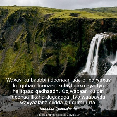 Picture 03 - Sharciga Kunoqoshadiisa 32:24 SOM - Waxay ku baabbi'i doonaan gaajo, oo waxay ku - Bible Verse Picture