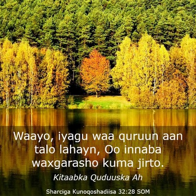 Picture 03 - Sharciga Kunoqoshadiisa 32:28 SOM - Waayo, iyagu waa quruun aan talo lahayn, Oo - Bible Verse Picture