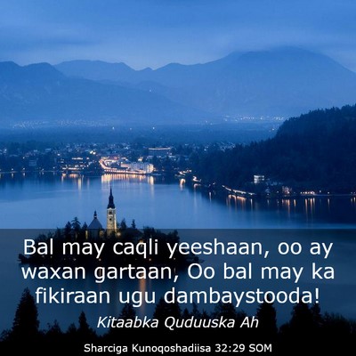 Picture 03 - Sharciga Kunoqoshadiisa 32:29 SOM - Bal may caqli yeeshaan, oo ay waxan gartaan, Oo - Bible Verse Picture