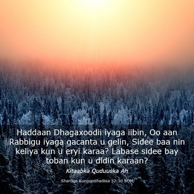 Picture 03 - Sharciga Kunoqoshadiisa 32:30 SOM - Haddaan Dhagaxoodii iyaga iibin, Oo aan Rabbigu - Bible Verse Picture