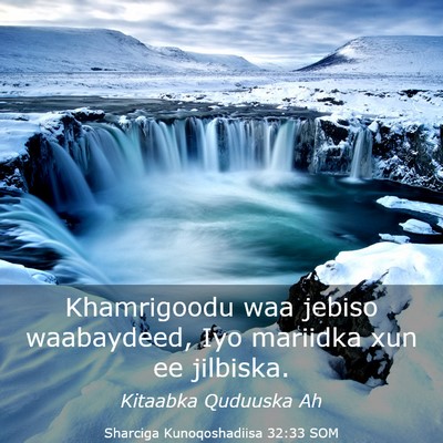 Picture 03 - Sharciga Kunoqoshadiisa 32:33 SOM - Khamrigoodu waa jebiso waabaydeed, Iyo mariidka - Bible Verse Picture