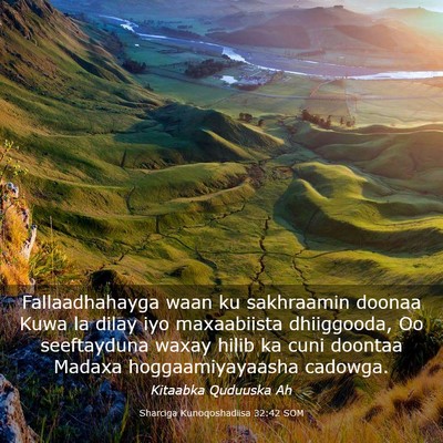 Picture 03 - Sharciga Kunoqoshadiisa 32:42 SOM - Fallaadhahayga waan ku sakhraamin doonaa Kuwa la - Bible Verse Picture