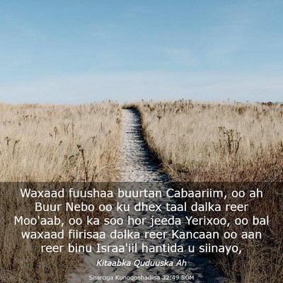 Picture 03 - Sharciga Kunoqoshadiisa 32:49 SOM - Waxaad fuushaa buurtan Cabaariim, oo ah Buur Nebo - Bible Verse Picture