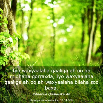 Picture 03 - Sharciga Kunoqoshadiisa 33:14 SOM - Iyo waxyaalaha qaaliga ah oo ah midhaha qorraxda, - Bible Verse Picture