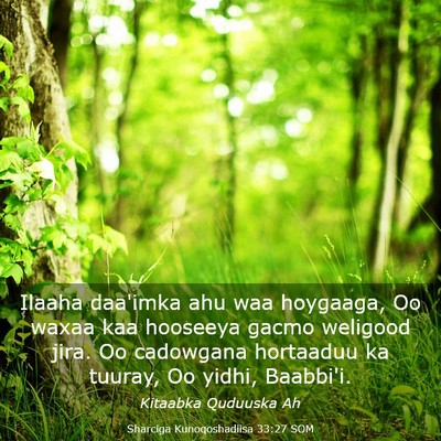Picture 03 - Sharciga Kunoqoshadiisa 33:27 SOM - Ilaaha daa'imka ahu waa hoygaaga, Oo waxaa kaa - Bible Verse Picture