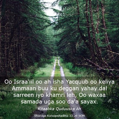 Picture 03 - Sharciga Kunoqoshadiisa 33:28 SOM - Oo Israa'iil oo ah isha Yacquub oo keliya Ammaan - Bible Verse Picture