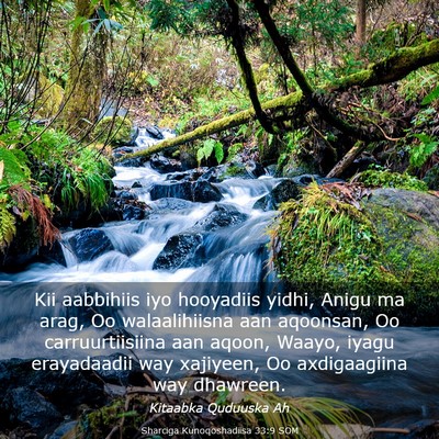 Picture 03 - Sharciga Kunoqoshadiisa 33:9 SOM - Kii aabbihiis iyo hooyadiis yidhi, Anigu ma arag, - Bible Verse Picture