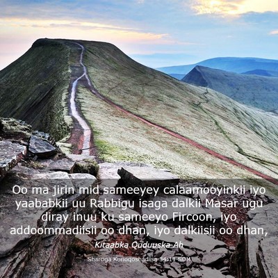 Picture 03 - Sharciga Kunoqoshadiisa 34:11 SOM - Oo ma jirin mid sameeyey calaamooyinkii iyo - Bible Verse Picture
