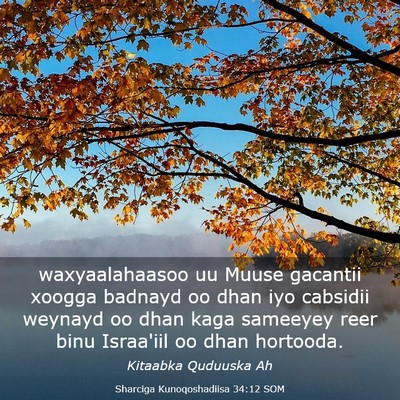 Picture 03 - Sharciga Kunoqoshadiisa 34:12 SOM - waxyaalahaasoo uu Muuse gacantii xoogga badnayd - Bible Verse Picture