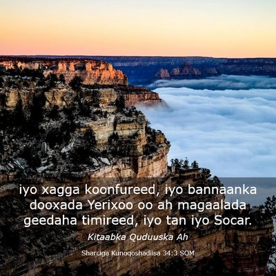 Picture 03 - Sharciga Kunoqoshadiisa 34:3 SOM - iyo xagga koonfureed, iyo bannaanka dooxada - Bible Verse Picture