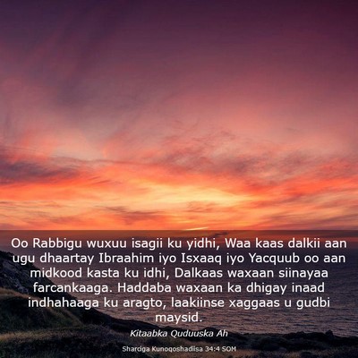 Picture 03 - Sharciga Kunoqoshadiisa 34:4 SOM - Oo Rabbigu wuxuu isagii ku yidhi, Waa kaas dalkii - Bible Verse Picture