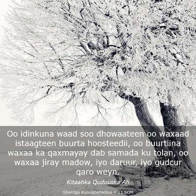 Picture 03 - Sharciga Kunoqoshadiisa 4:11 SOM - Oo idinkuna waad soo dhowaateen oo waxaad - Bible Verse Picture
