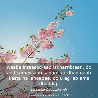 Picture 03 - Sharciga Kunoqoshadiisa 4:16 SOM - waaba intaasoo aad iskharribtaan, oo aad - Bible Verse Picture