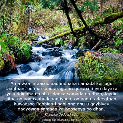 Picture 03 - Sharciga Kunoqoshadiisa 4:19 SOM - Ama waa intaasoo aad indhaha samada kor ugu - Bible Verse Picture