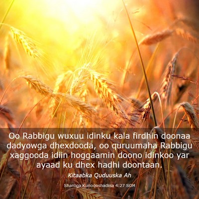 Picture 03 - Sharciga Kunoqoshadiisa 4:27 SOM - Oo Rabbigu wuxuu idinku kala firdhin doonaa - Bible Verse Picture
