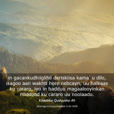 Picture 03 - Sharciga Kunoqoshadiisa 4:42 SOM - in gacankudhiiglihii deriskiisa kama' u dilo, - Bible Verse Picture